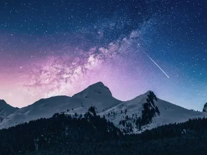 Hibernation | Can’t Sleep? Discover Nature’s Longest Nap