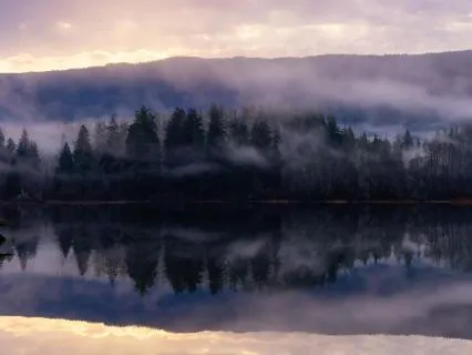 Hidden Forest Lake Soundscape For Deep, Restful Sleep