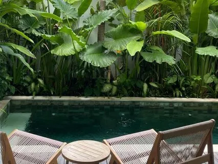 Hidden Garden Dreams (Music For Focus And Relaxation)