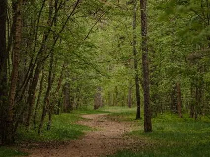 Hidden Path