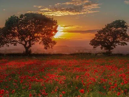 Hidden Places | Inner Peace Music | 60 Minutes