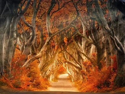 Hidden Secrets (Reflection Practice)