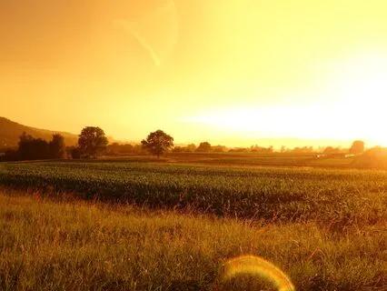 High Above English Wheat Fields: Sleep & Meditation