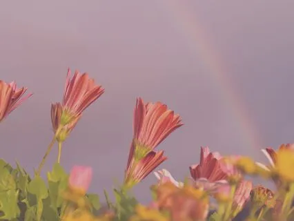 High Anxiety Relief + Rewiring With Havening