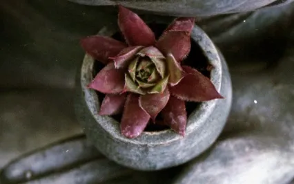 High Consciousness Past Life Meditation