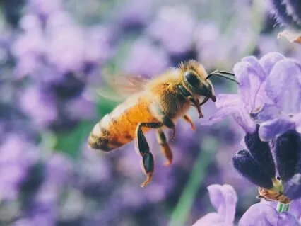 High-Energy Abundance Affirmative Prayer LIVE