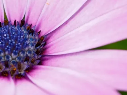 High Heart Consciousness In Business