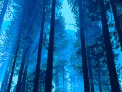 Higher Power Affirmation Song (Personalize Your Own Lyrics)