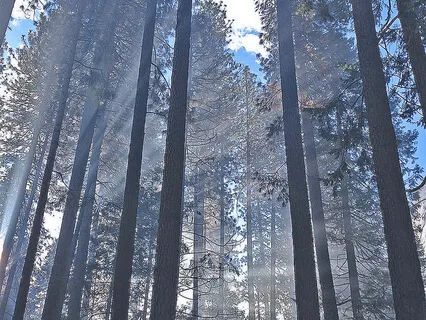 Higher Power Affirmation Song