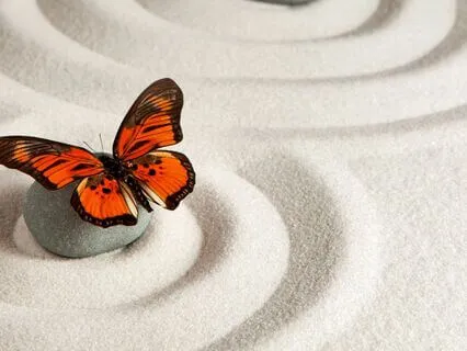 Higher Power Heart Healing