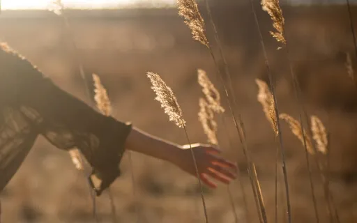 Higher Self Connection Meditation