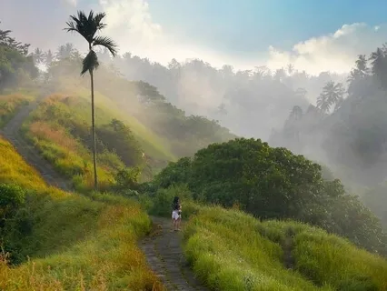 Higher Self Guided Meditation