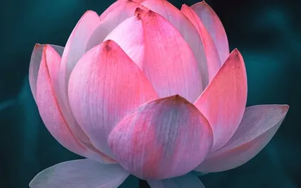 Higher Self Heart Communion