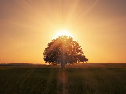 Higher Self Meditation - Meet With Your Higher Self