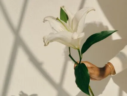 Higher Self Meditation