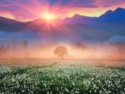 Higher Self Practice For Letting Go (Gentle Shamanic Drumming)