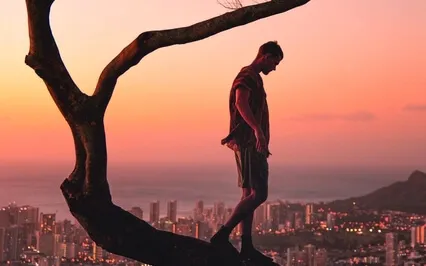 Higher Self - Tree Of Life