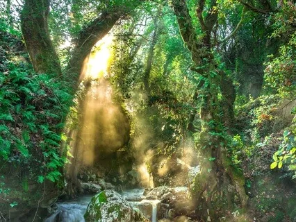 Higher Universal Man (Male Voice Over)