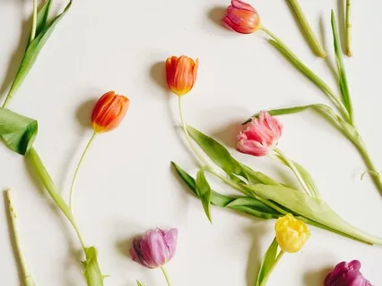 Highest Seekers Are By Birth, Awakens By Little Effort 