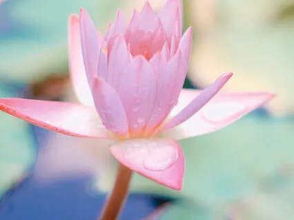 Highest Seekers Since Birth With Intense Aspiration Succeeds