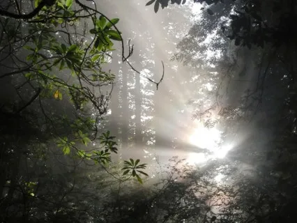 Highest Self Daily Mantra