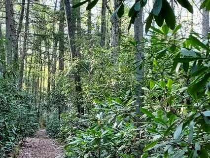 Hiking Meditation On The Alan Seeger Loop