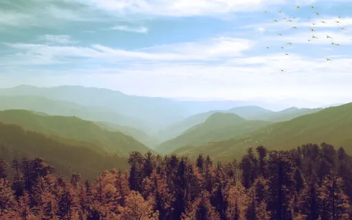 Himalayan Forest  |  Pure Nature Sounds