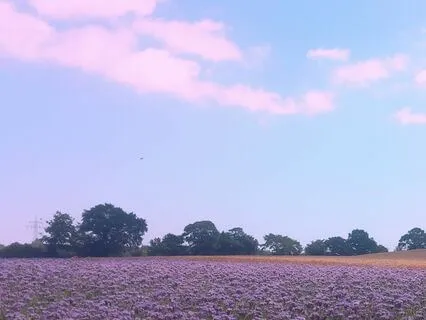 Himmlischer Klang: Ein Kosmisches Wiegenlied