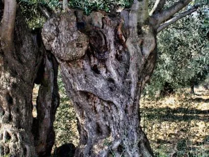 Hineini: Embodying Sacred Presence