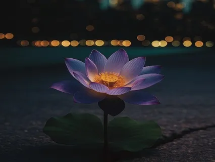 Hip-Hop Meditations: Higher Light (3-Minute Stillness)