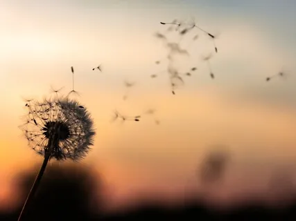 Hip Opening Hatha Practice For Emotional Release