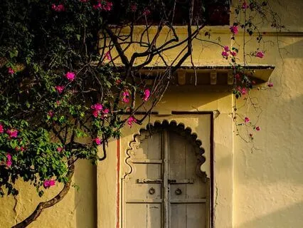 His House: Chapter 4 – The Butterfly | Story & Reflection