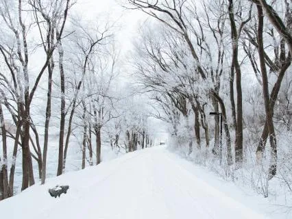 História Meditativa para Dormir - A Biblioteca