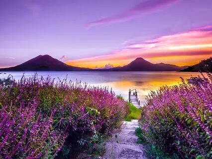 Ho'oponopono | Enter A State Of Forgiveness | Healing Tones