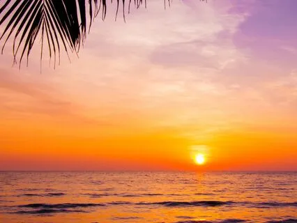 Ho'oponopono Forgiveness & Resilience Meditation