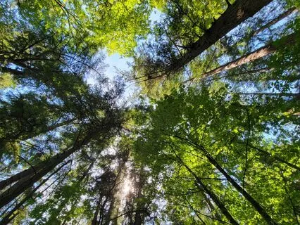 Ho'oponopono Meditation For Anxiety And Fear