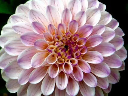 Ho'oponopono Meditation