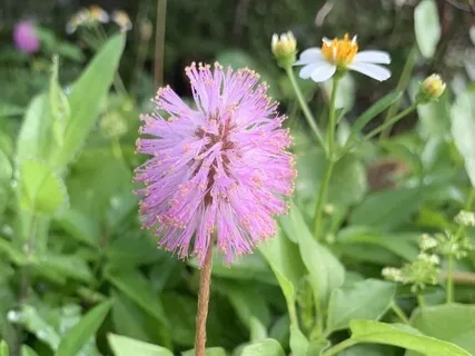 Hold On Loosely - An Antidote To Clinging