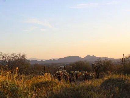 Hold Yourself: 11-Minute Guided Practice