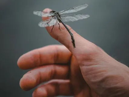 Holding And Being Held | 18-Minute Yoga Nidra