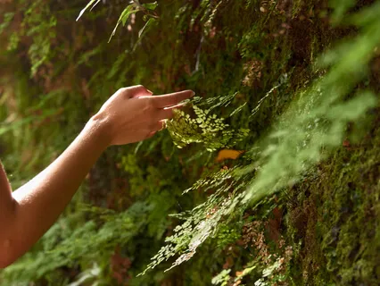 The Holding Arms Of The Earth