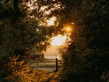 Holding Boundaries With Compassion