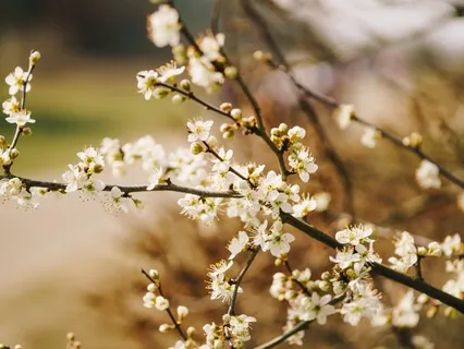 Holding Challenging Emotions