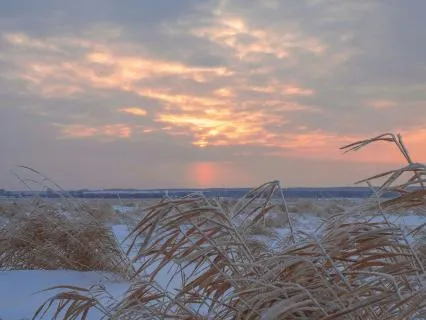 Holding Every Chapter: A Yoga Nidra