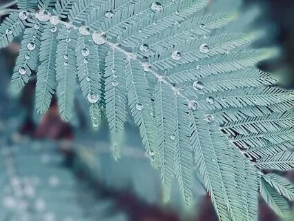 Holding Grief In Compassion