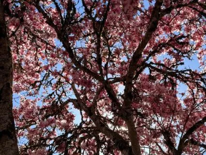 Holding Grief With Compassion