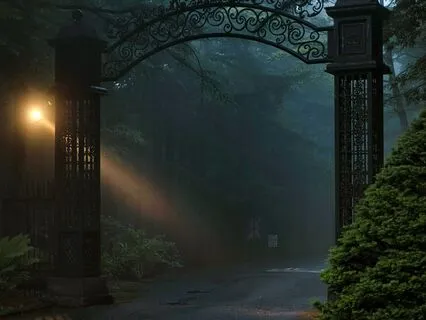 Holding Hope With Humor