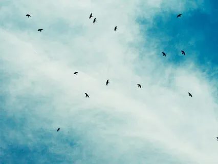 Holding Our Emotions with Care