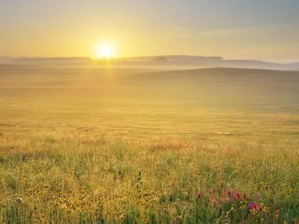 Holding Peace Beyond Fear And Conflict