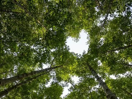 Holding Space For Heartache